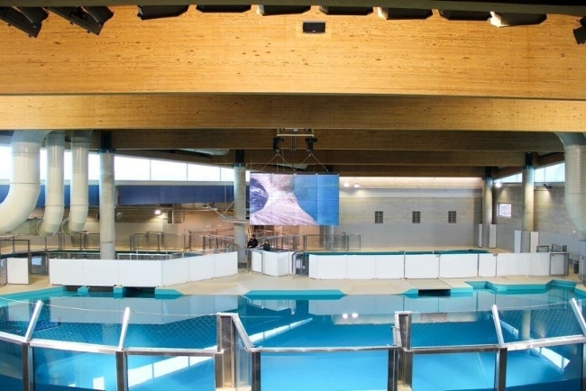 725-киллограммовой конструкция 4х4 видеостены высокой четкости, состоящая из 16 NEC плоскопанельных LCD-дисплеев, была установлена над огромным бассейном с соленой водой с гавайскими тюленями-монахами