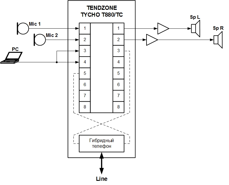 Tendzone_Гибрид